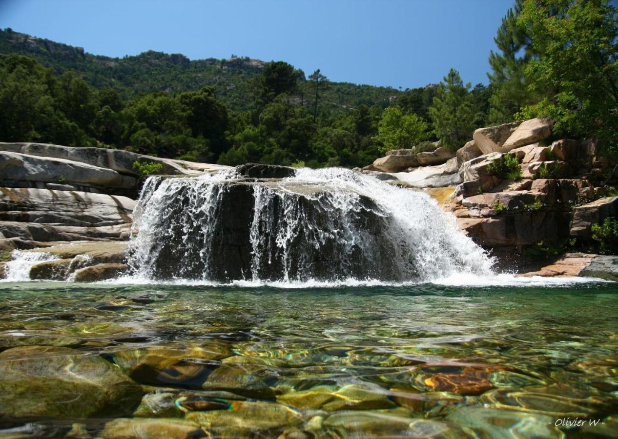 Villa Le Corail Rouge Corse Lecci Dış mekan fotoğraf