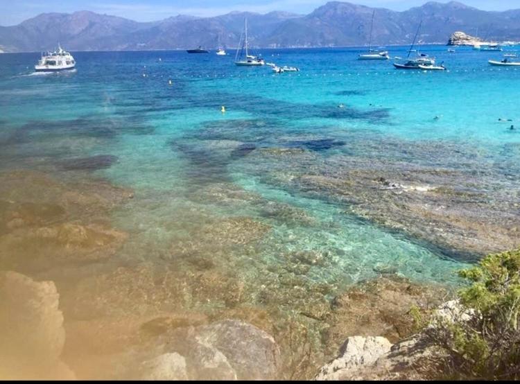 Villa Le Corail Rouge Corse Lecci Dış mekan fotoğraf