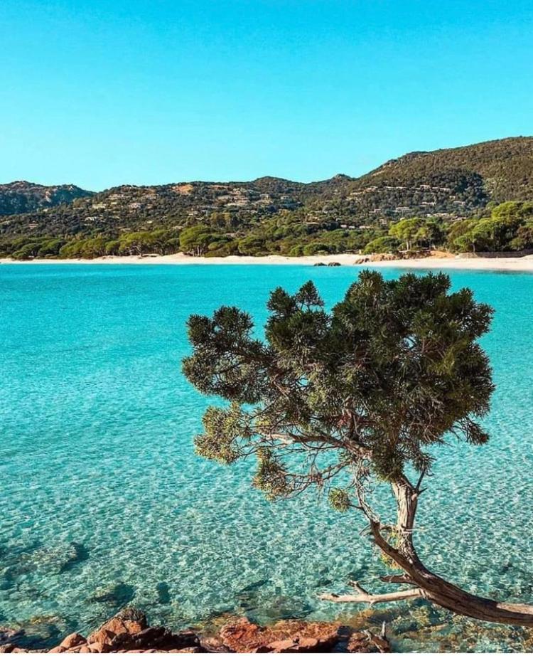 Villa Le Corail Rouge Corse Lecci Dış mekan fotoğraf
