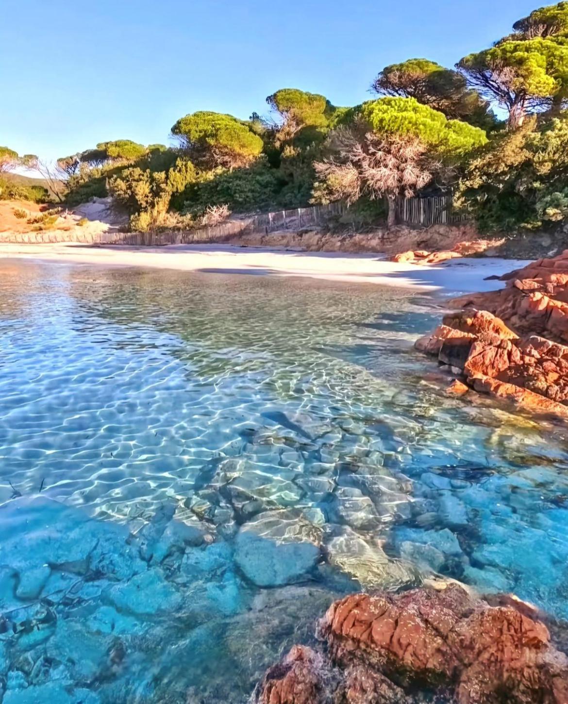 Villa Le Corail Rouge Corse Lecci Dış mekan fotoğraf